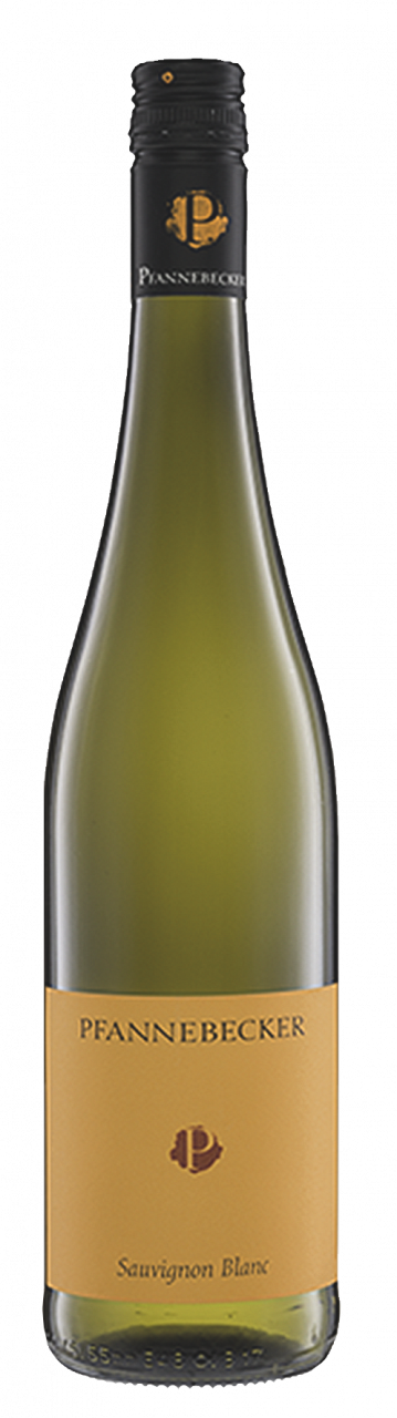 Pfannebecker Sauvignon Blanc
