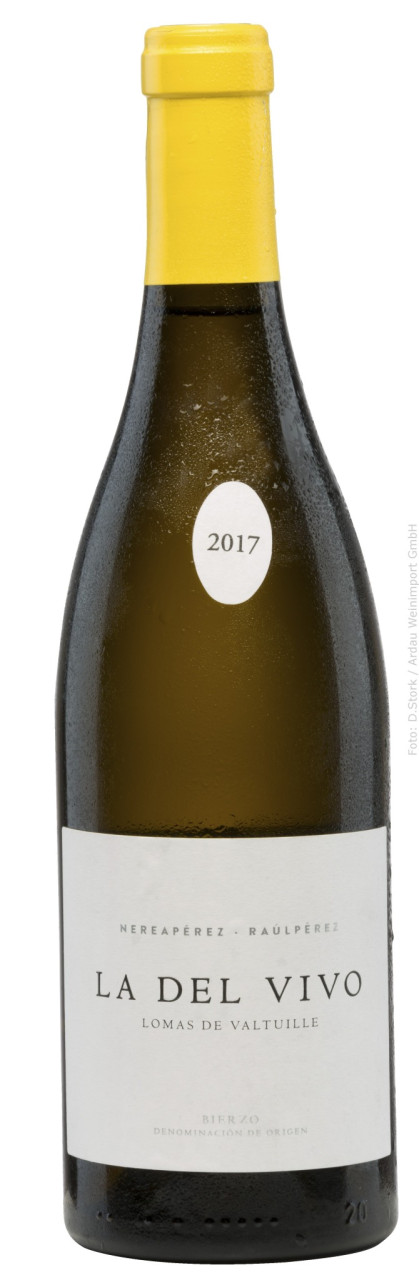 Raúl Pérez La del Vivo (La Vizcaína)