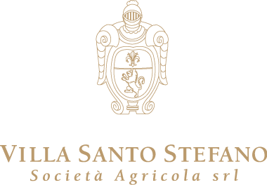Villa Santo Stefano