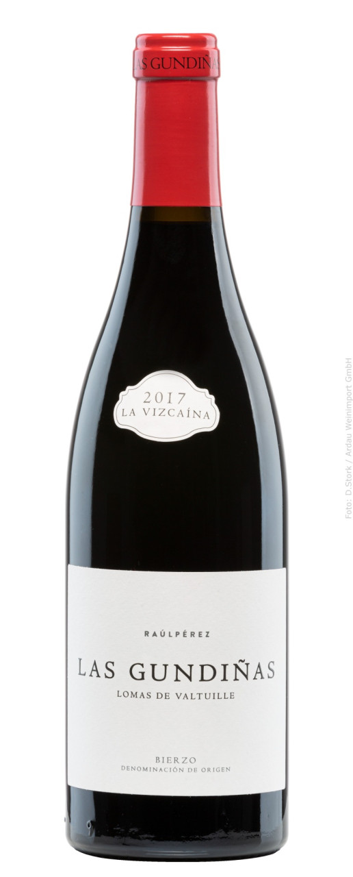 Raúl Pérez Las Gundiñas (La Vizcaína)