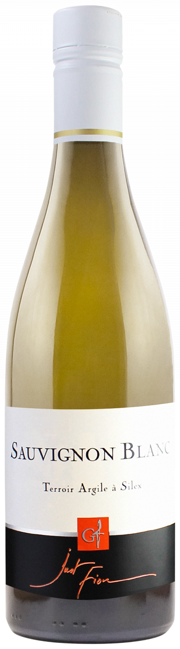 Domaine Gérard Fiou Just Fiou