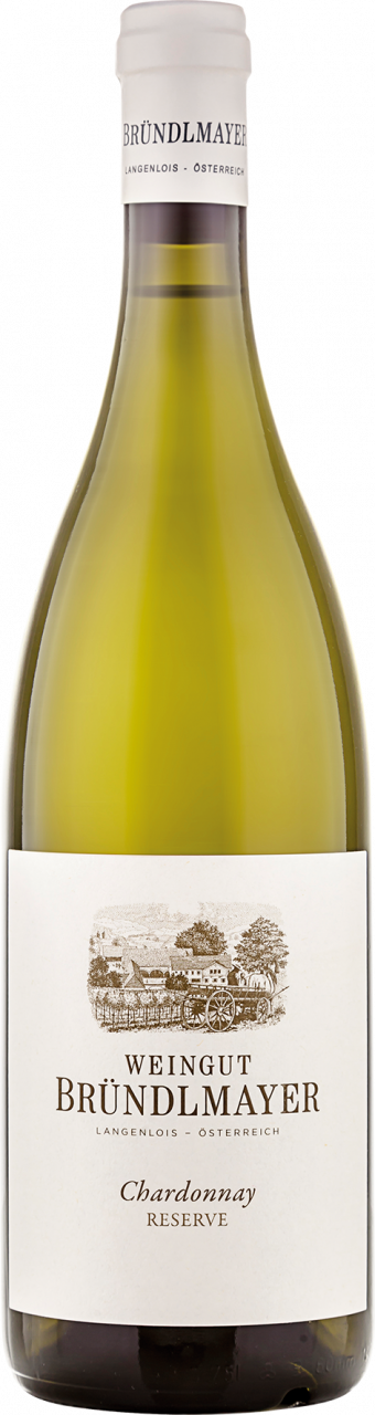 Bründlmayer Chardonnay Ried Steinberg