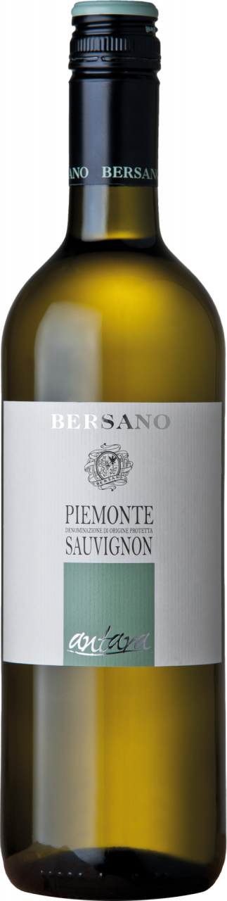 Bersano Antara Sauvignon Piemonte DOP