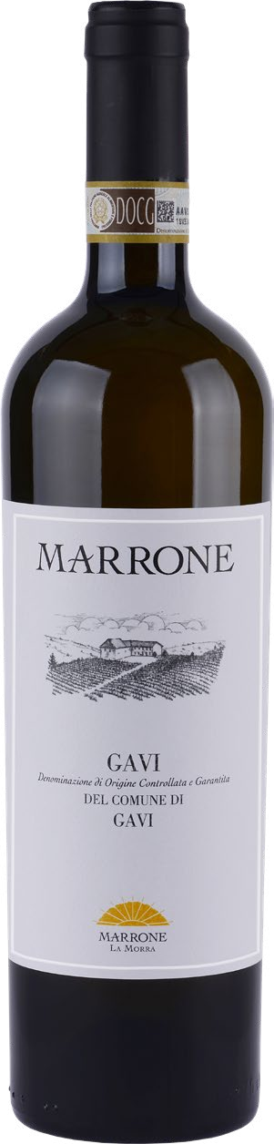 MARRONE Marrone Gavi di Gavi DOCG